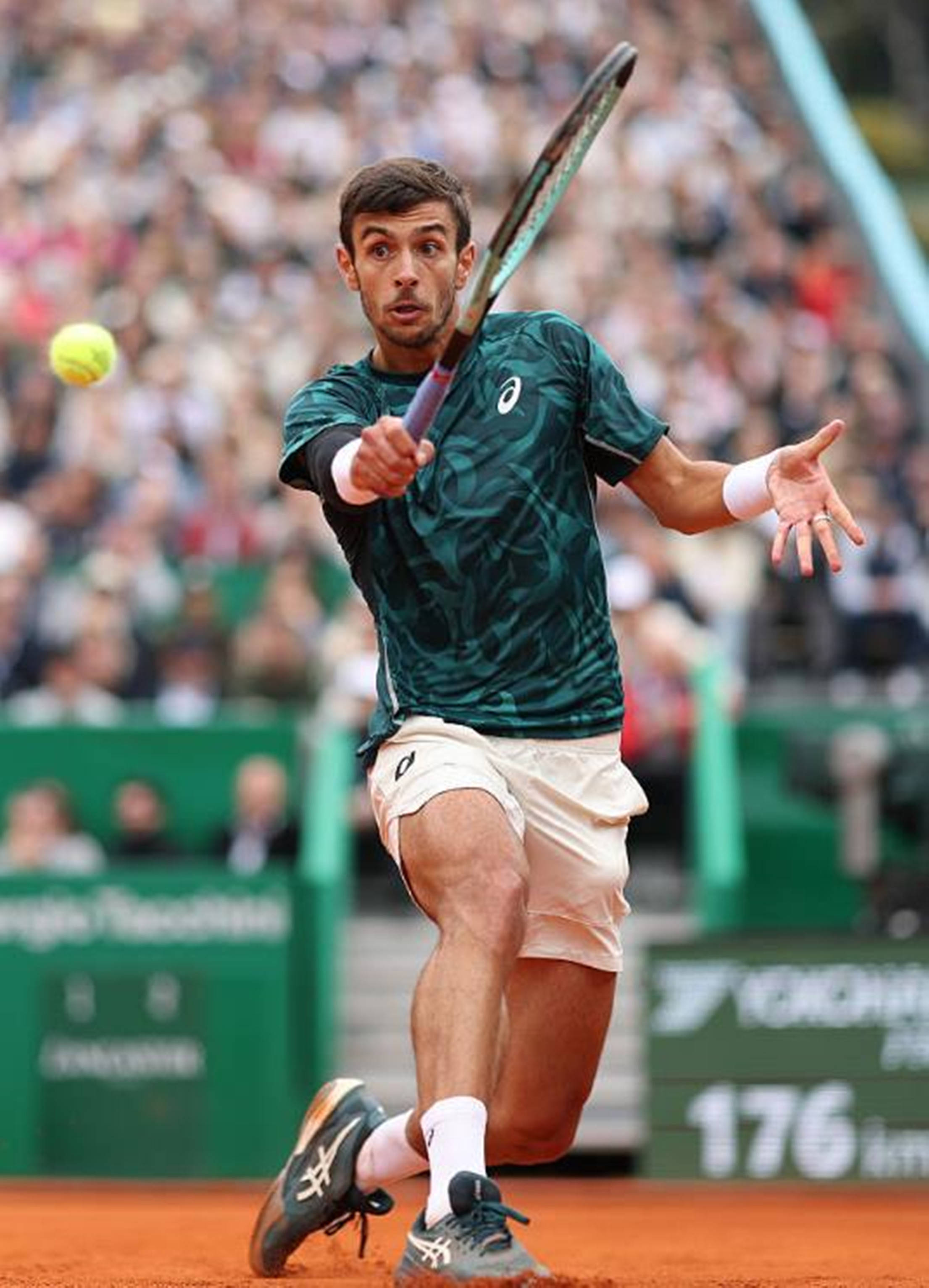 一个能在夏 一个能在夏