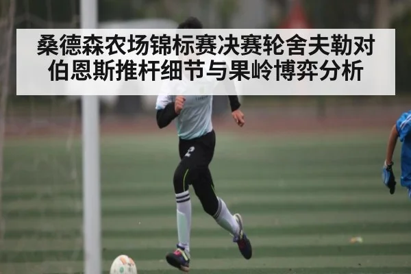 桑德森农场锦标赛决赛轮舍夫勒对伯恩斯推杆细节与果岭博弈分析